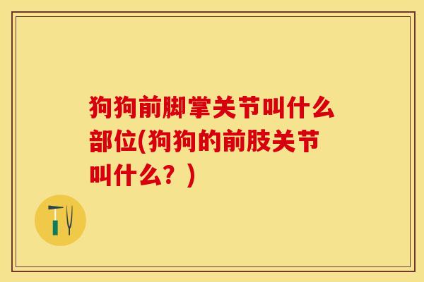 狗狗前脚掌关节叫什么部位(狗狗的前肢关节叫什么？)