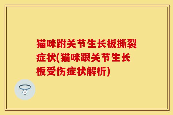 猫咪跗关节生长板撕裂症状(猫咪跟关节生长板受伤症状解析)
