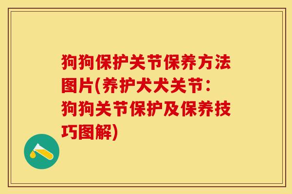 狗狗保护关节保养方法图片(养护犬犬关节：狗狗关节保护及保养技巧图解)