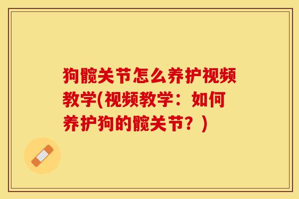 狗髋关节怎么养护视频教学(视频教学：如何养护狗的髋关节？)