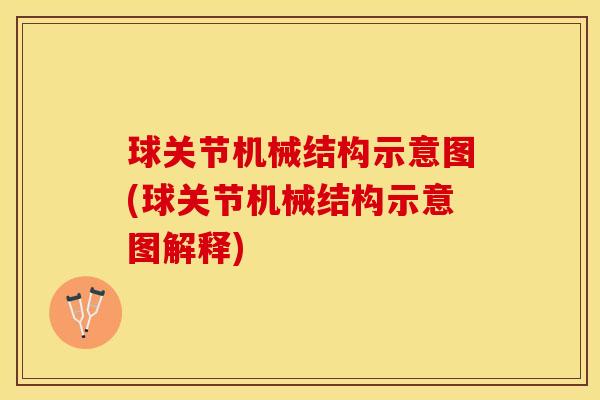 球关节机械结构示意图(球关节机械结构示意图解释)