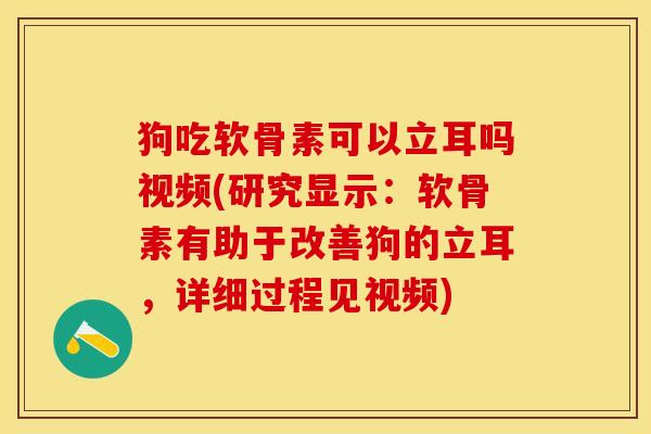 狗吃软骨素可以立耳吗视频(研究显示：软骨素有助于改善狗的立耳，详细过程见视频)