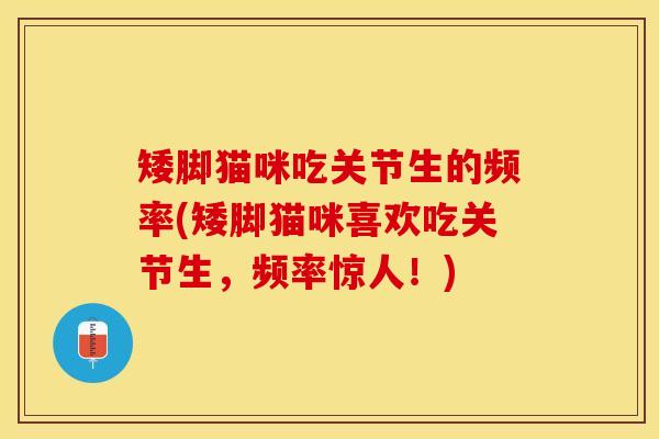 矮脚猫咪吃关节生的频率(矮脚猫咪喜欢吃关节生，频率惊人！)