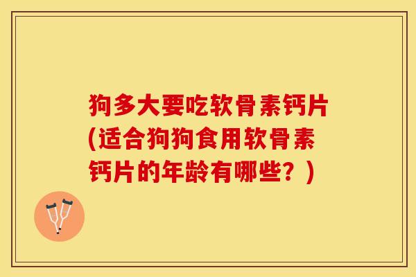 狗多大要吃软骨素钙片(适合狗狗食用软骨素钙片的年龄有哪些？)