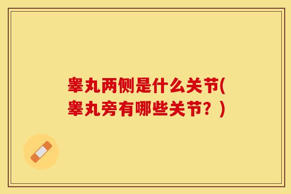 睾丸两侧是什么关节(睾丸旁有哪些关节？)