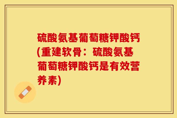 硫酸氨基葡萄糖钾酸钙(重建软骨：硫酸氨基葡萄糖钾酸钙是有效营养素)