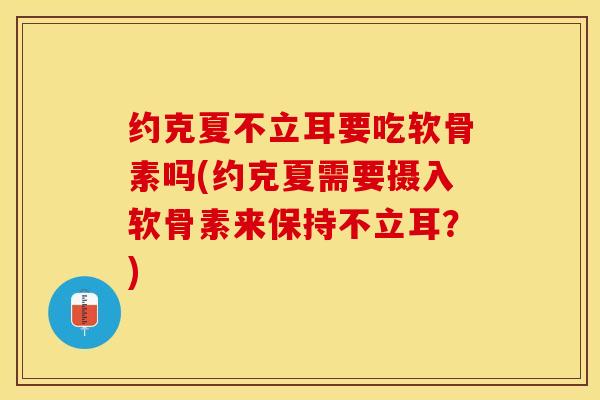 约克夏不立耳要吃软骨素吗(约克夏需要摄入软骨素来保持不立耳？)