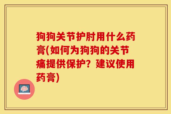 狗狗关节护肘用什么药膏(如何为狗狗的关节痛提供保护？建议使用药膏)