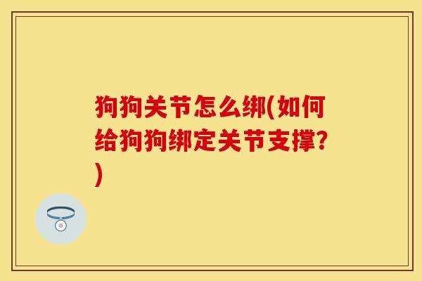 狗狗关节怎么绑(如何给狗狗绑定关节支撑？)