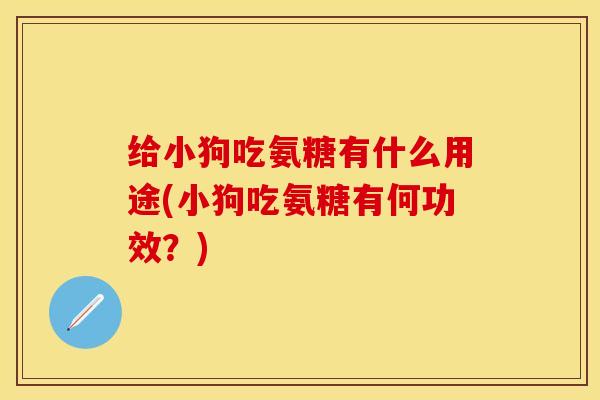 给小狗吃氨糖有什么用途(小狗吃氨糖有何功效？)