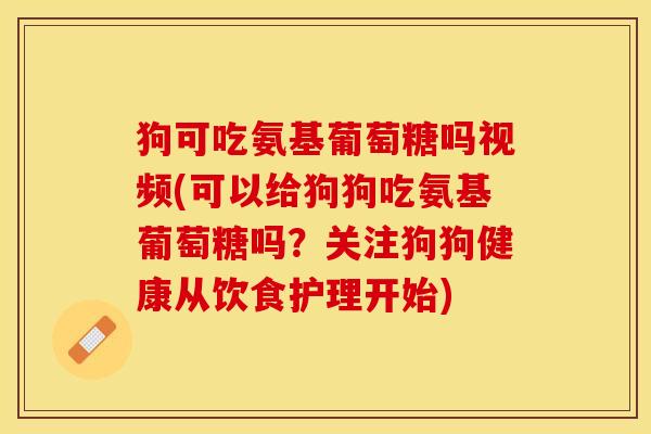 狗可吃氨基葡萄糖吗视频(可以给狗狗吃氨基葡萄糖吗？关注狗狗健康从饮食护理开始)