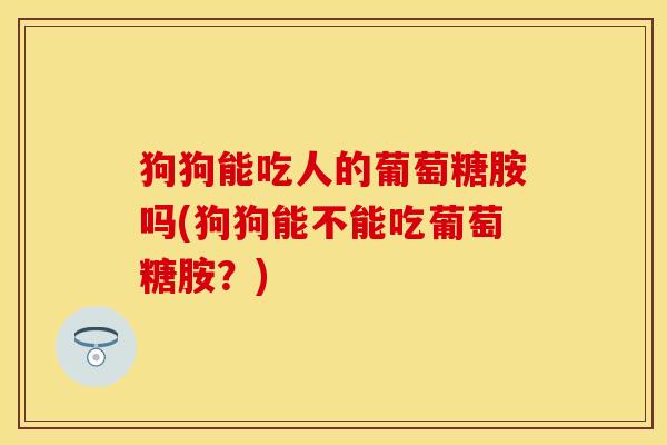 狗狗能吃人的葡萄糖胺吗(狗狗能不能吃葡萄糖胺？)