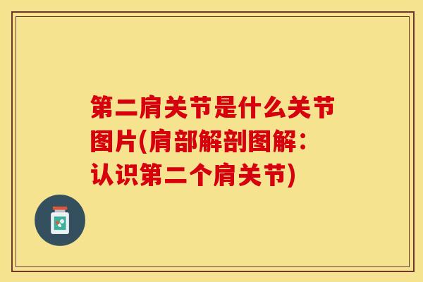 第二肩关节是什么关节图片(肩部解剖图解：认识第二个肩关节)