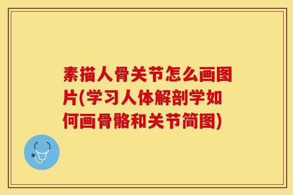 素描人骨关节怎么画图片(学习人体解剖学如何画骨骼和关节简图)