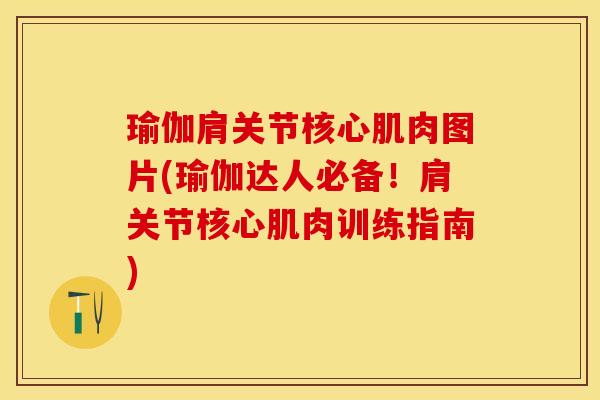 瑜伽肩关节核心肌肉图片(瑜伽达人必备！肩关节核心肌肉训练指南)