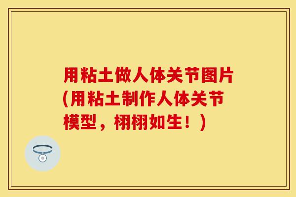 用粘土做人体关节图片(用粘土制作人体关节模型，栩栩如生！)