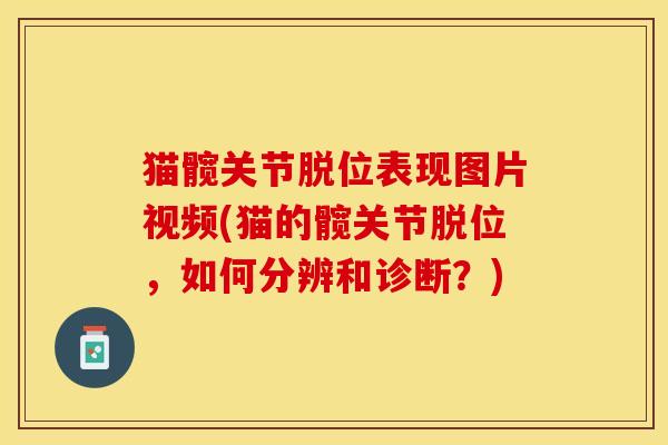 猫髋关节脱位表现图片视频(猫的髋关节脱位，如何分辨和诊断？)