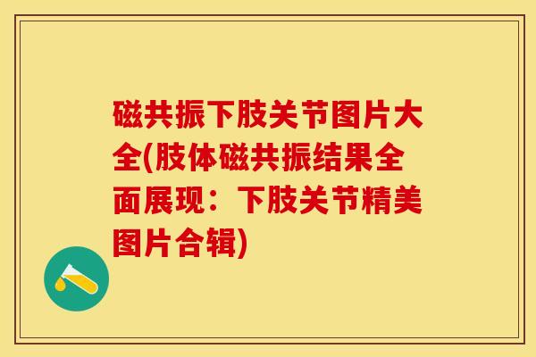 磁共振下肢关节图片大全(肢体磁共振结果全面展现：下肢关节精美图片合辑)