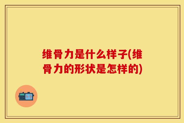 维骨力是什么样子(维骨力的形状是怎样的)