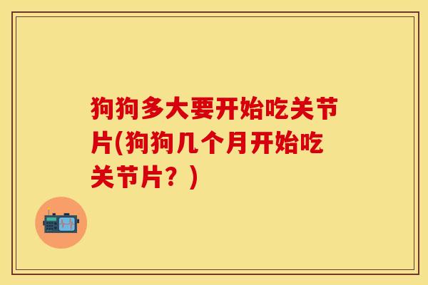 狗狗多大要开始吃关节片(狗狗几个月开始吃关节片？)