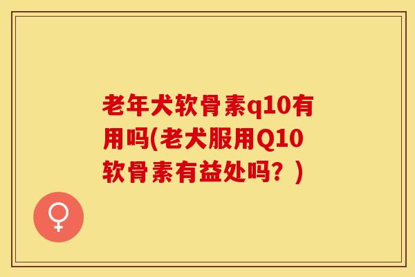 老年犬软骨素q10有用吗(老犬服用Q10软骨素有益处吗？)