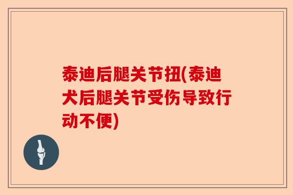 泰迪后腿关节扭(泰迪犬后腿关节受伤导致行动不便)