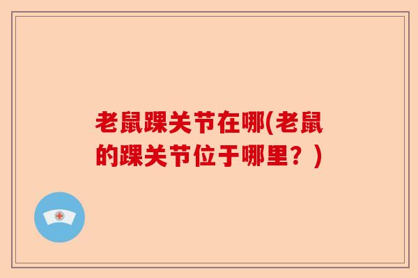 老鼠踝关节在哪(老鼠的踝关节位于哪里？)