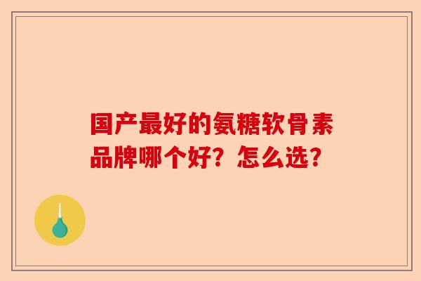 国产最好的氨糖软骨素品牌哪个好?怎么选?-第1张图片-关节保镖 国产最好的氨糖软骨素品牌哪个好?怎么选?-第1张图片-关节保镖