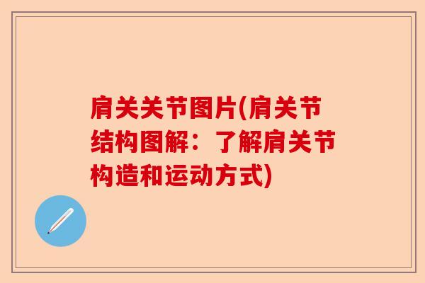 肩关关节图片(肩关节结构图解：了解肩关节构造和运动方式)