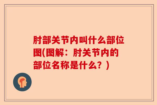 肘部关节内叫什么部位图(图解：肘关节内的部位名称是什么？)