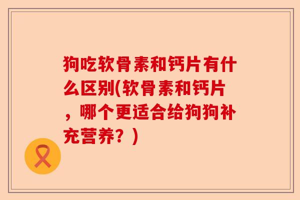 狗吃软骨素和钙片有什么区别(软骨素和钙片，哪个更适合给狗狗补充营养？)