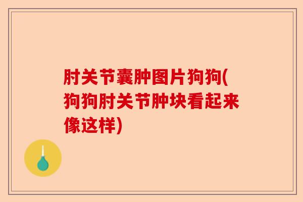肘关节囊肿图片狗狗(狗狗肘关节肿块看起来像这样)