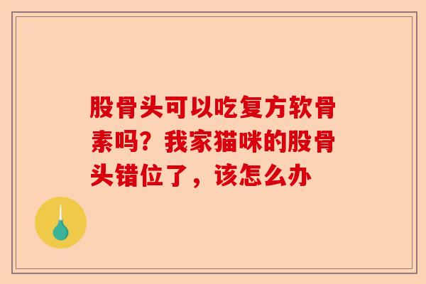 股骨头可以吃复方软骨素吗？我家猫咪的股骨头错位了，该怎么办