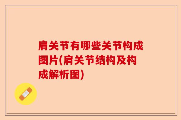 肩关节有哪些关节构成图片(肩关节结构及构成解析图)