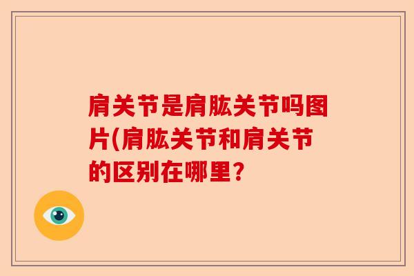 肩关节是肩肱关节吗图片(肩肱关节和肩关节的区别在哪里？