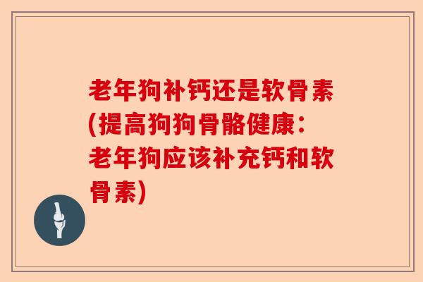 老年狗补钙还是软骨素(提高狗狗骨骼健康：老年狗应该补充钙和软骨素)