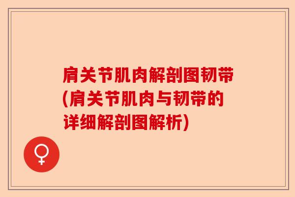 肩关节肌肉解剖图韧带(肩关节肌肉与韧带的详细解剖图解析)
