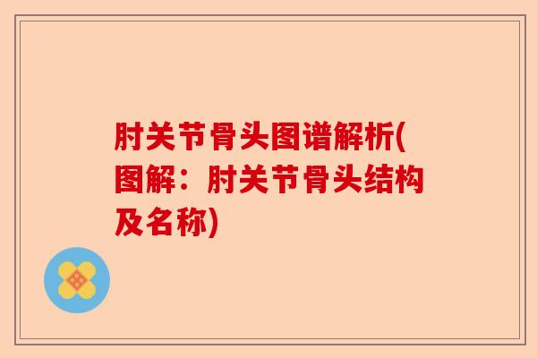 肘关节骨头图谱解析(图解：肘关节骨头结构及名称)