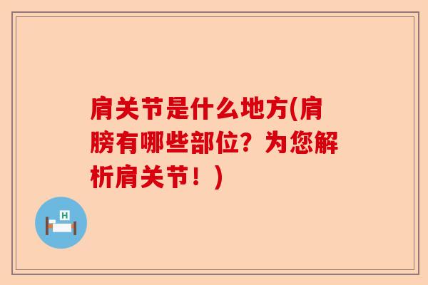 肩关节是什么地方(肩膀有哪些部位？为您解析肩关节！)