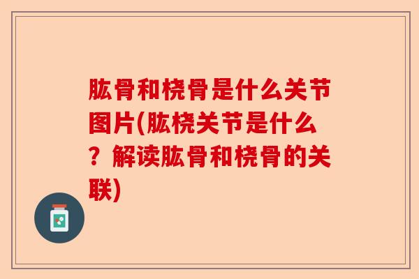 肱骨和桡骨是什么关节图片(肱桡关节是什么？解读肱骨和桡骨的关联)