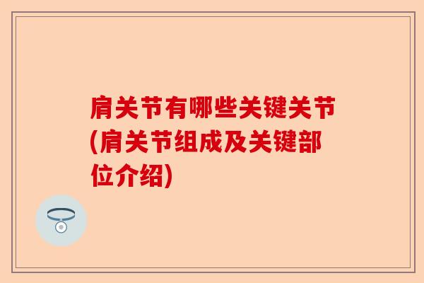 肩关节有哪些关键关节(肩关节组成及关键部位介绍)
