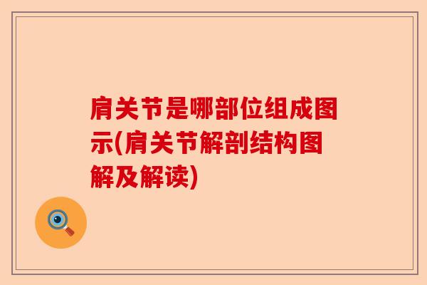 肩关节是哪部位组成图示(肩关节解剖结构图解及解读)-第1张图片-关节保镖