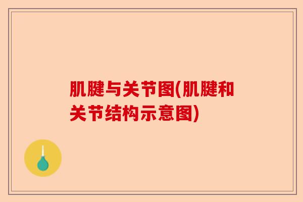 肌腱与关节图(肌腱和关节结构示意图)