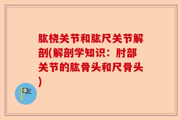 肱桡关节和肱尺关节解剖(解剖学知识：肘部关节的肱骨头和尺骨头)