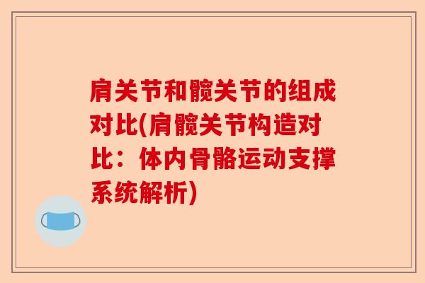 肩关节和髋关节的组成对比(肩髋关节构造对比：体内骨骼运动支撑系统解析)