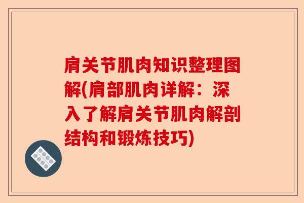 肩关节肌肉知识整理图解(肩部肌肉详解：深入了解肩关节肌肉解剖结构和锻炼技巧)