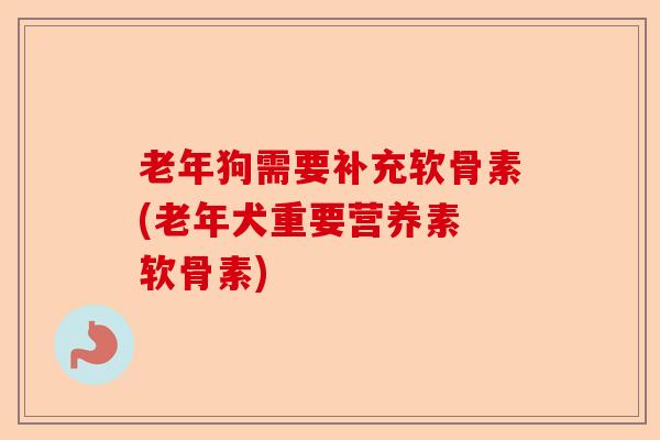 老年狗需要补充软骨素(老年犬重要营养素 软骨素)