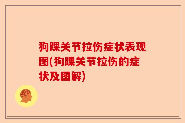 狗踝关节拉伤症状表现图(狗踝关节拉伤的症状及图解)