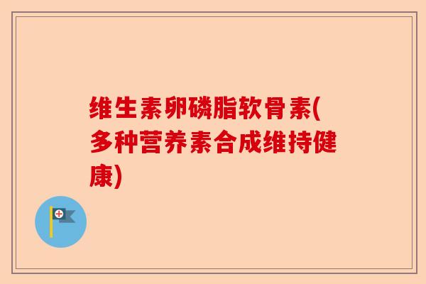 维生素卵磷脂软骨素(多种营养素合成维持健康)