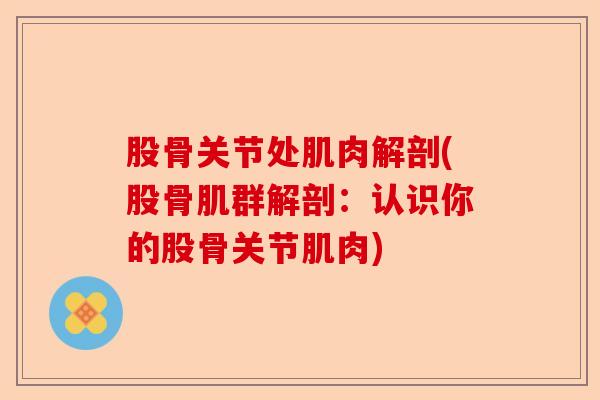 股骨关节处肌肉解剖(股骨肌群解剖：认识你的股骨关节肌肉)